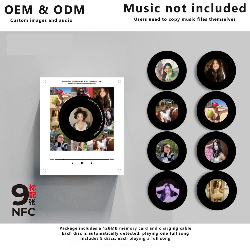 Vinyl Discs Refrigerator Magnet